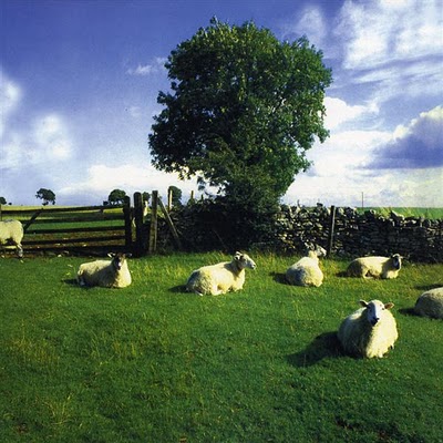 klf-chill-out
